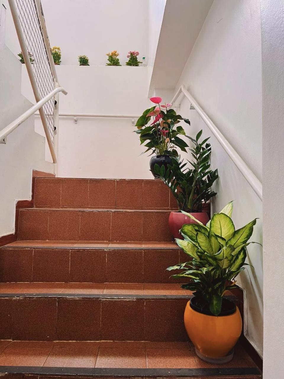 Pousada Murilo Centro Foz Foz do Iguacu Ngoại thất bức ảnh